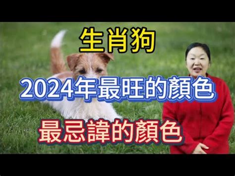 生肖狗 幸運色|2024屬狗幸運色：綠色與紅色助運指南 